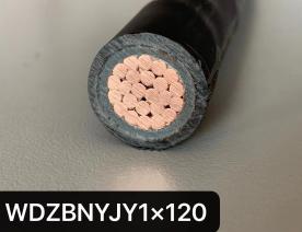 WDZBNYJY1*120